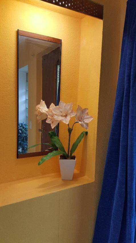 Ferienhaus Monarda Goslar Eksteriør billede